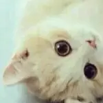 城一剑。。。矿泉水