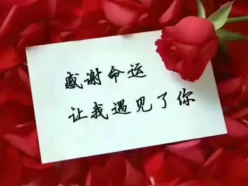 麻城土特产专营店的主播照片