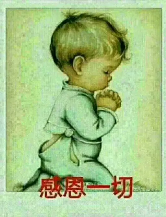 小金桔儿的主播照片