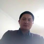 大树下888888