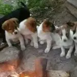 老……公？