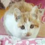 🙃瑶瑶