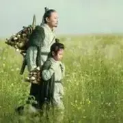 随风~落叶