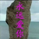 没钱没币来看看你