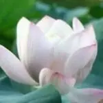 一生平安*2z
