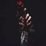 戴起眼鏡兒打望
