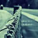 老古德辉哥