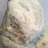 树苗!