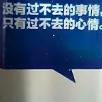 秦秦$n