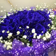 那个冬季。。。。。。