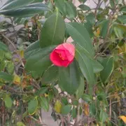猜飞机大师心灰意冷