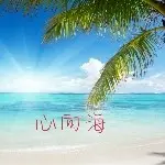 广善佳佳