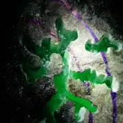 锦程翡翠原石