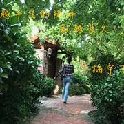 白瞟团-叫我鸽鸽