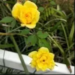 一个人走✿