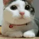 冥界之王丶