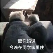 猪走丢了~