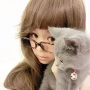 一生有七ღ大尾巴狼