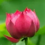 ★焱★