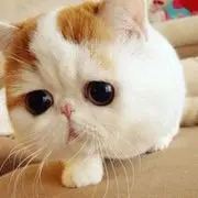 翻滚❤往事_✿