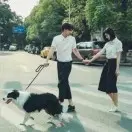 宠一身脾气4