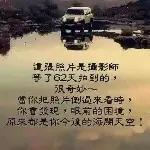 呆萌蠢求治愈