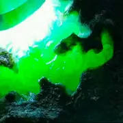 康师翡翠
