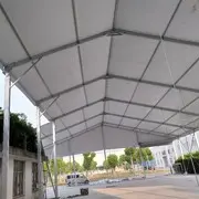 忠诚信意意