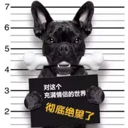昵称被和谐73621