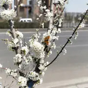 `我说我说啊