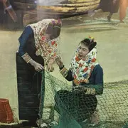 蹭哥♬看美妞