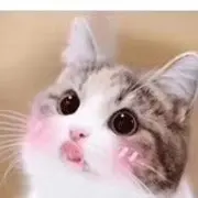 小小苏西儿～