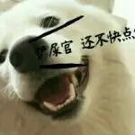 ♥静静的♥陪姐姐♥