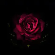 一一111