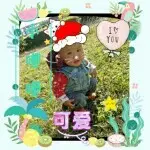 💞小嘟嘟💞