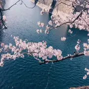 拿着小碗去要饭