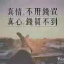 有哥哥真好r