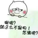 瞅啥就这么不是物怎滴