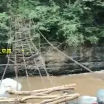 白瞎岛岛主甘小小小小