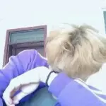 守护你的的神秘人