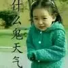 一路走来一路风