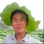春天的冬天
