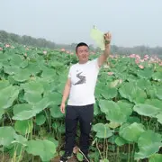 ✲痴情^_^饿狼✲：