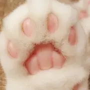 昵称违规，请重新修改