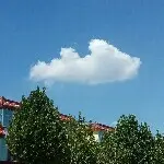 ~^漂浮的云^~
