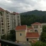 湖南的飞龙