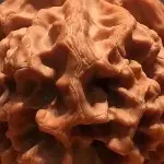 龙核缘
