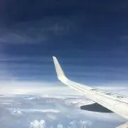 懒觉比较大