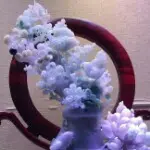 好农源