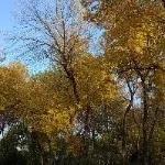 ☀一缕阳光🍂